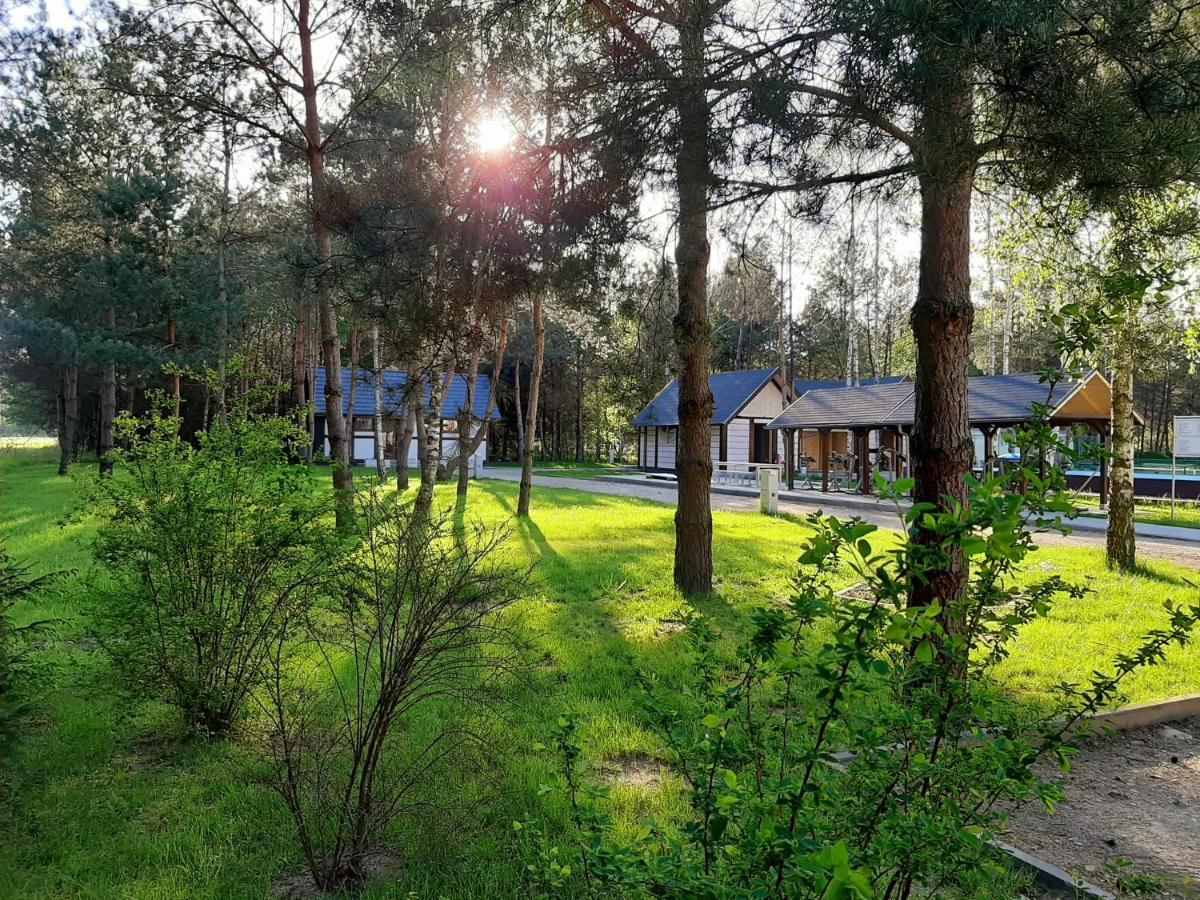 Osrodek Wypoczynkowy Lubu Dubu Hotel Dankow Exterior photo